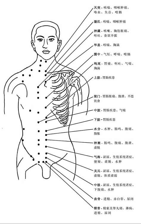 穴穴形狀|穴位:中醫理論,涵義,來源,本質,排列規律,人體穴位,頭頸部穴,胸腹。